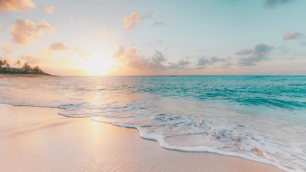 How to Stay Healthy in a Tropical Climate as a Digital Nomad