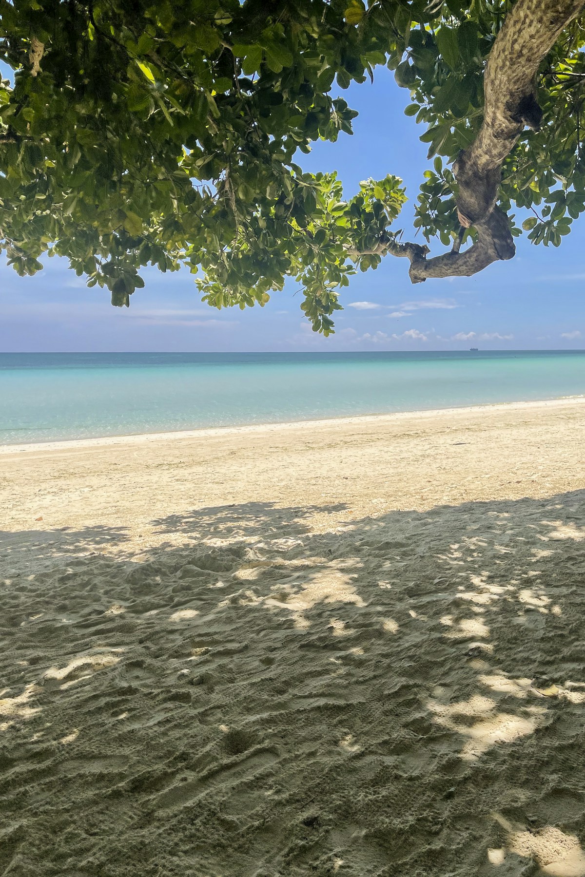 Could You Spend a Week in Cebu Without Rushing From Place to Place?