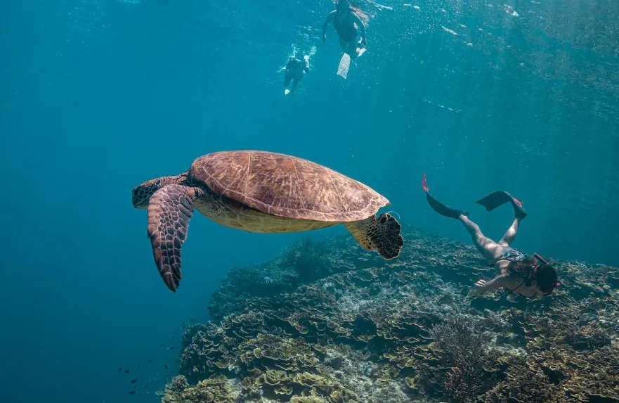 Is Moalboal Worth Visiting If You Don’t Dive?
