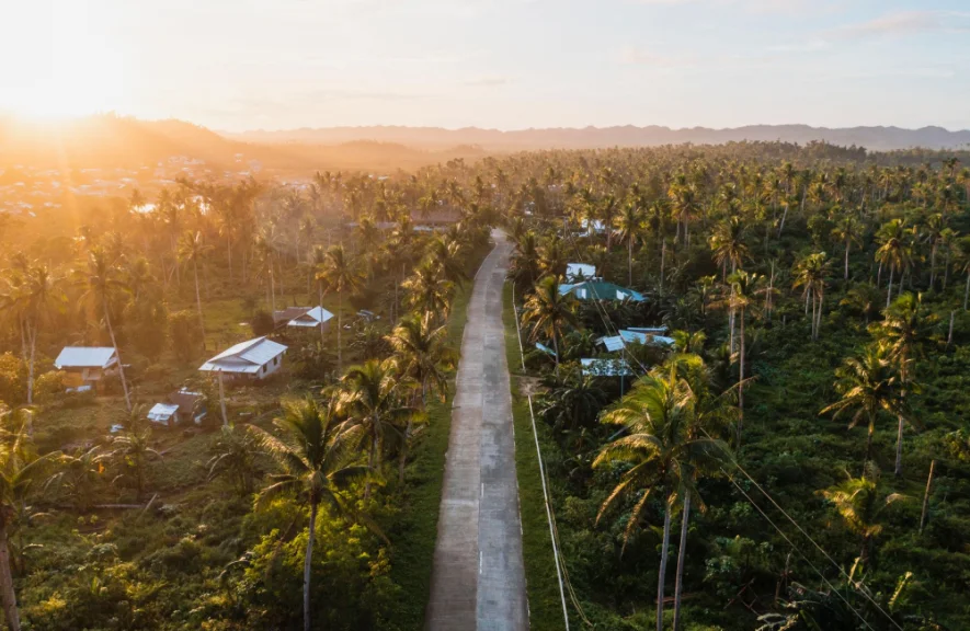 Aerial view of a road through palm groves in Siargao