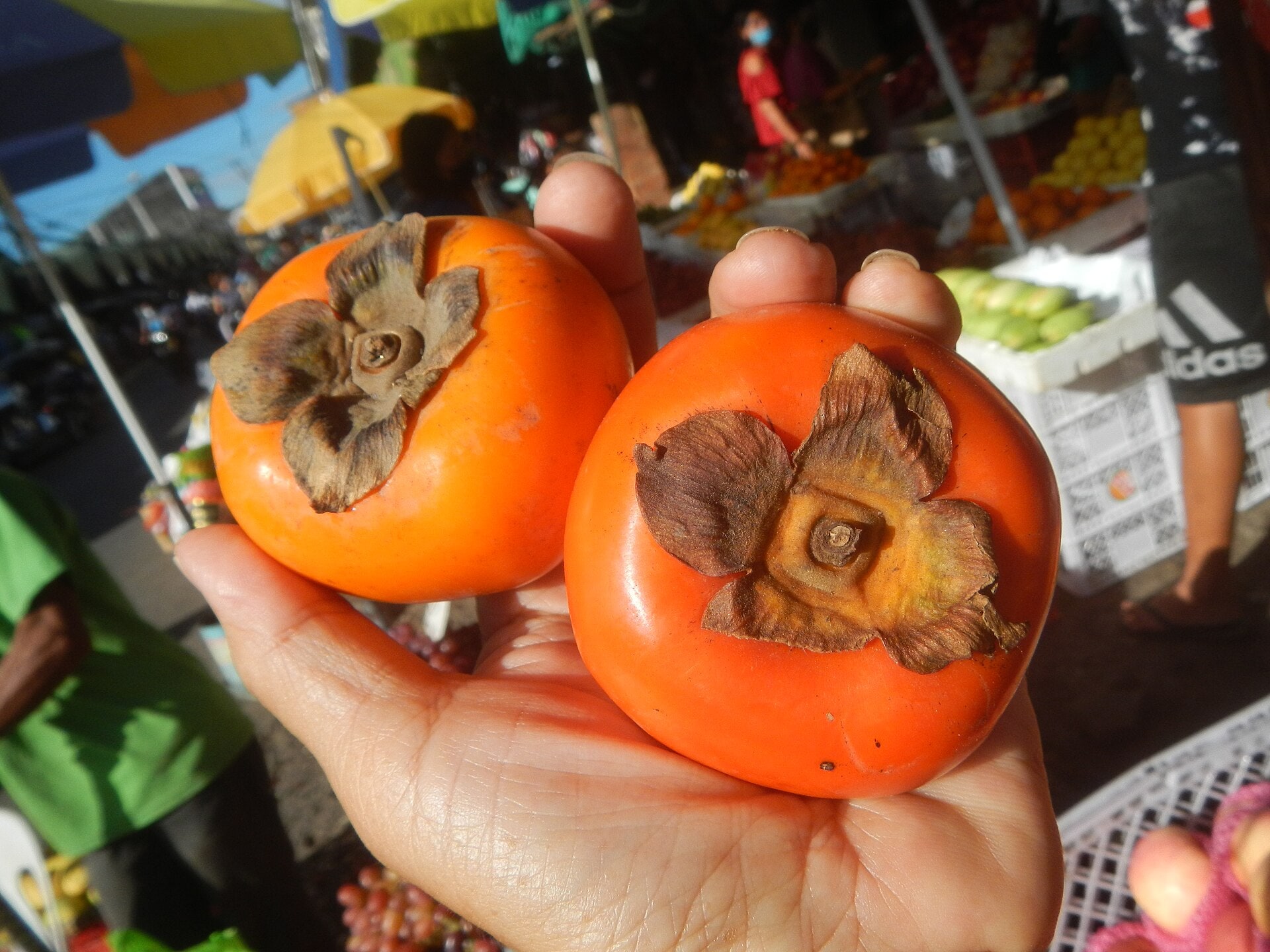Why Has Siargao Become a Cafe and Foodie Island?