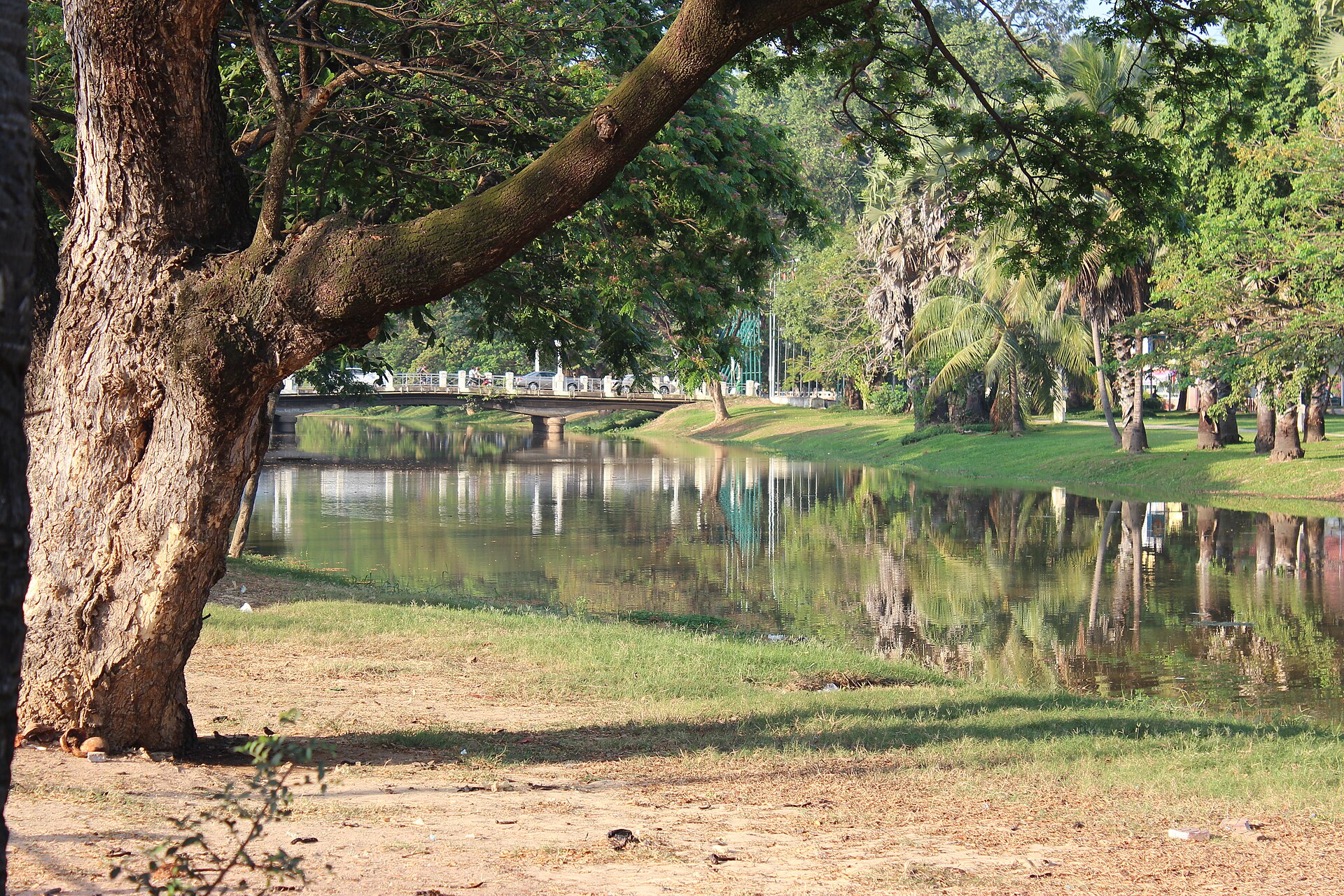 What Does a Slow Day in Siem Reap Look Like?