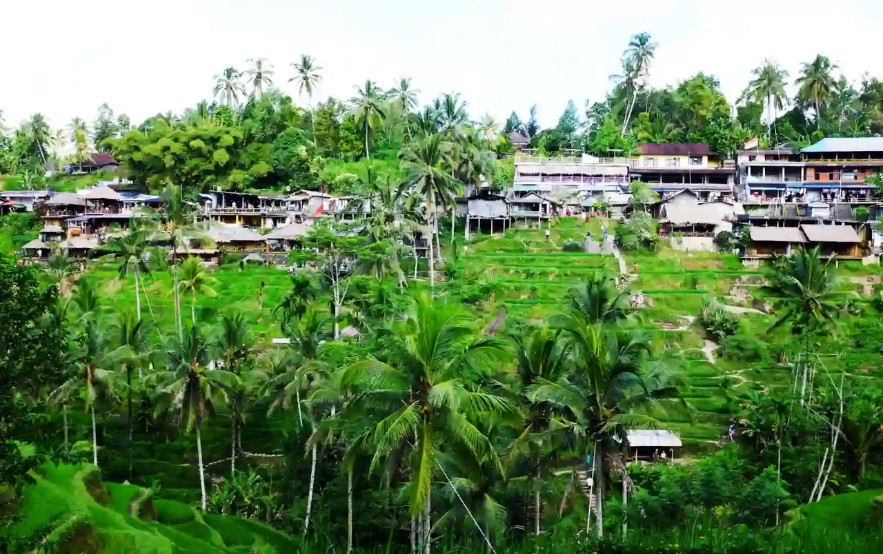 Tegallalang Rice Terraces in Bali: Is It Worth Visiting?