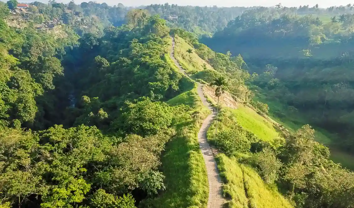 Campuhan Ridge Walk: Ubud's Most Relaxing Morning Walk