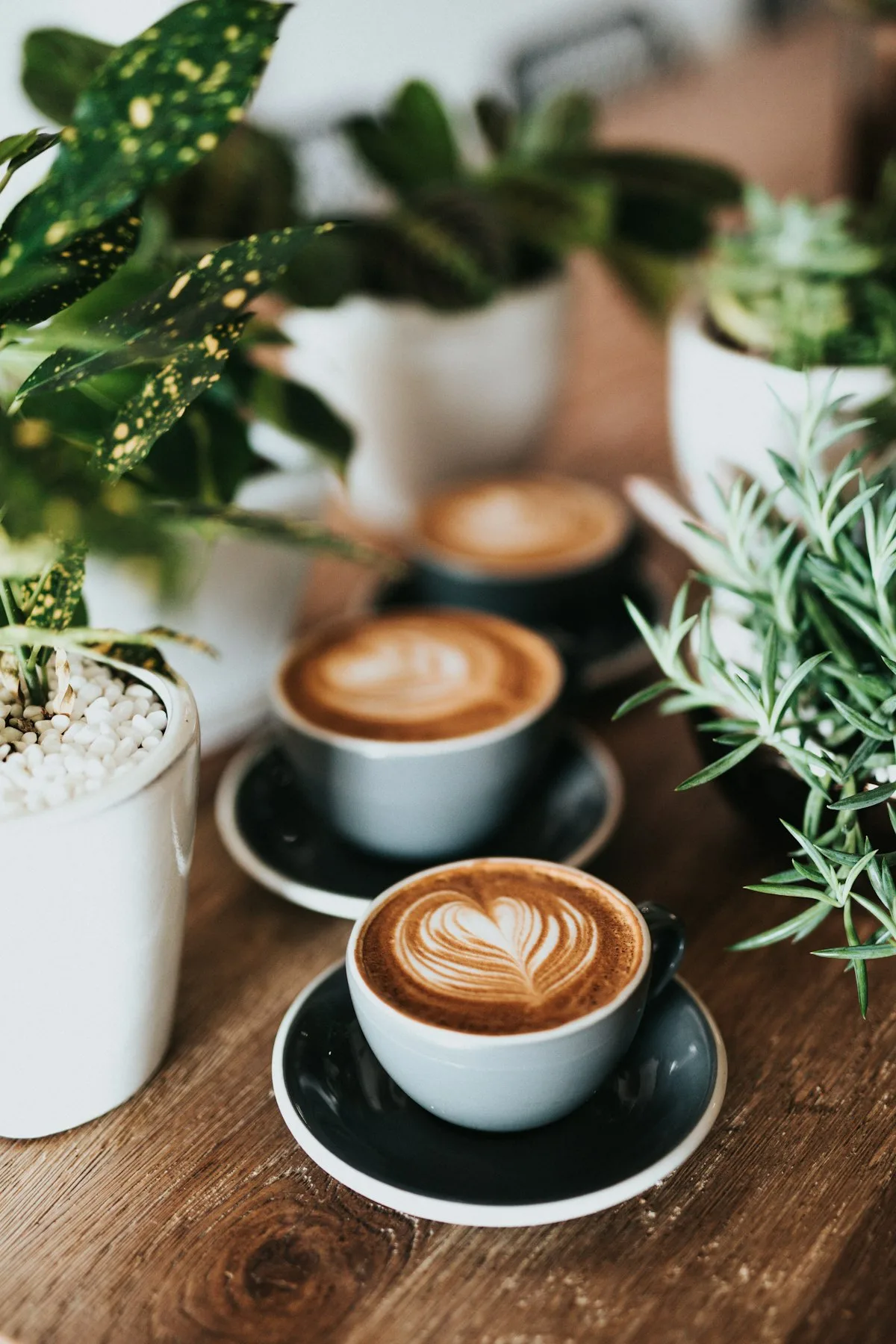 Woo Cafe Chiang Mai: Garden Cafe Guide for Coffee and Brunch
