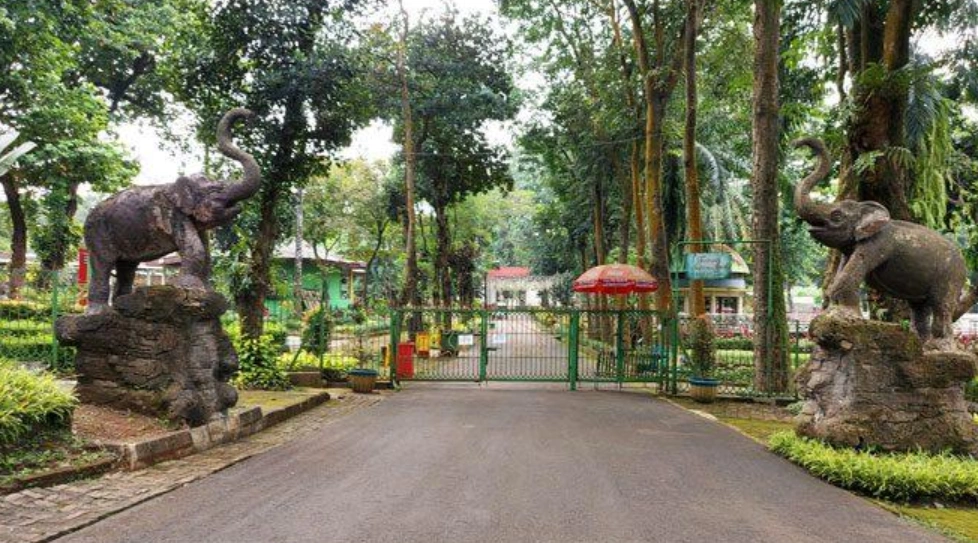 3. Ragunan Zoo
