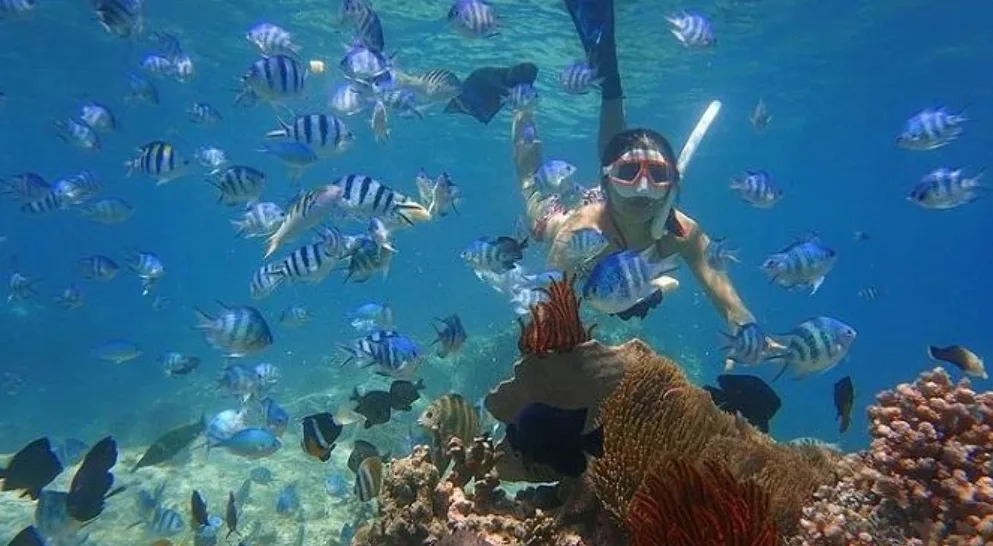 Hon Mun Island