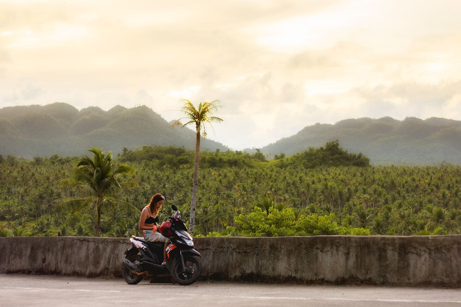 A scooter overlooking Siargao's coconut groves