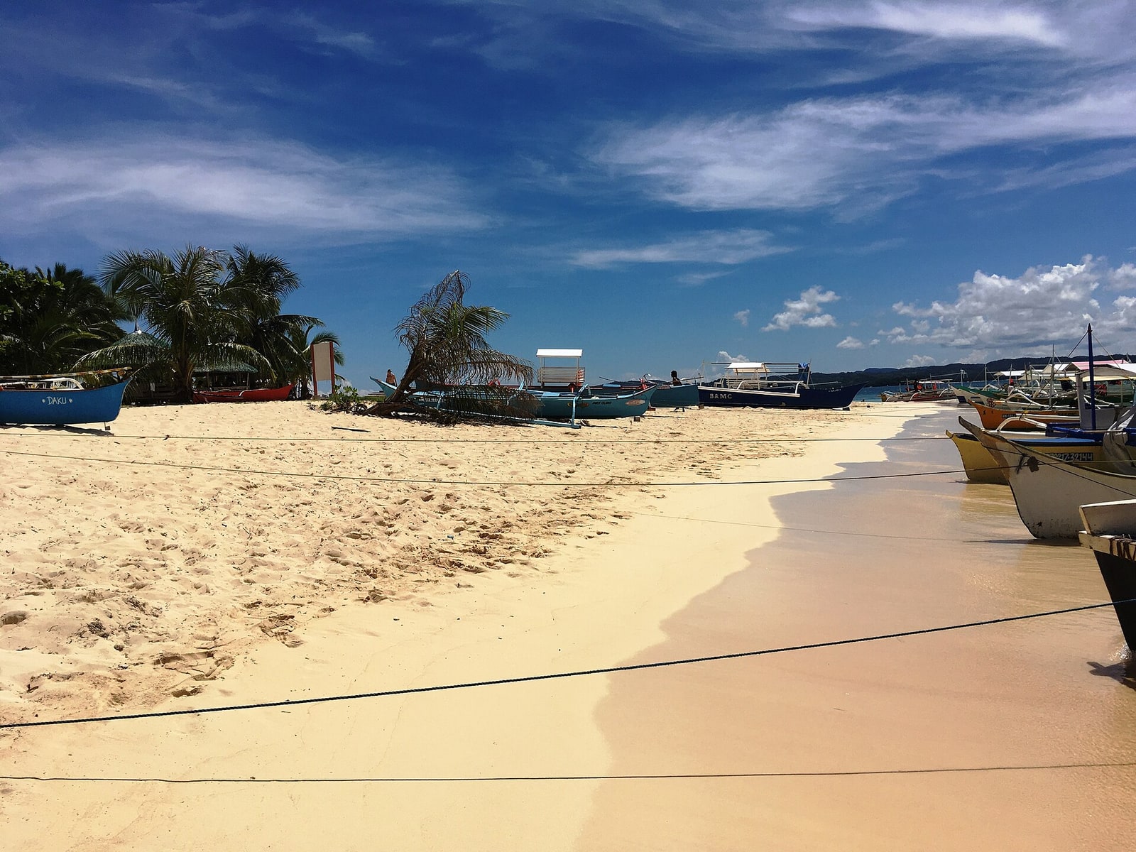 A palm-lined road in Siargao