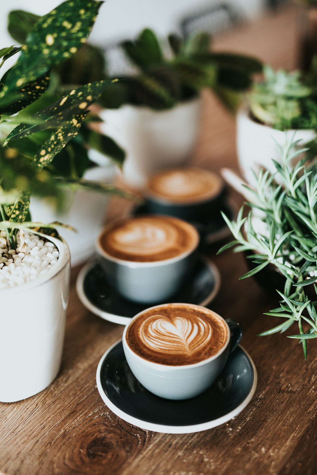 Factory Coffee Phrom Phong Bangkok: Signature Drinks, Queue Times and Order Tips
