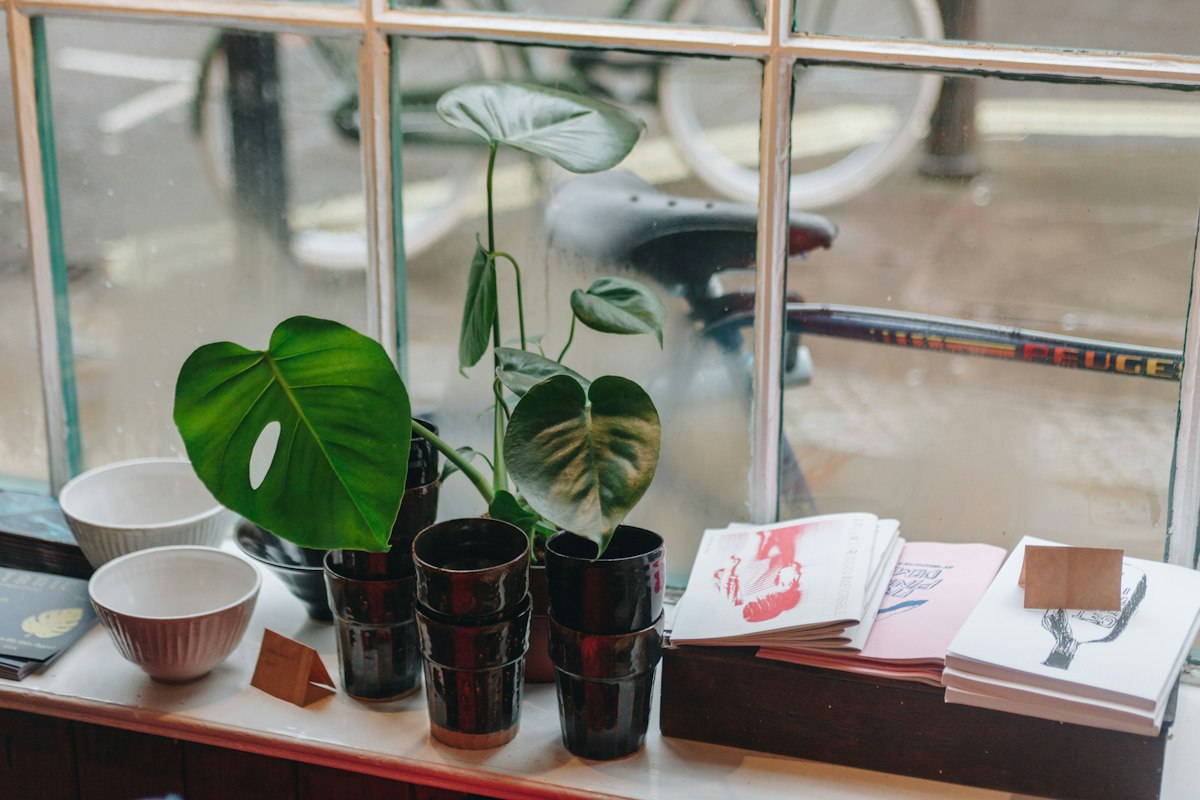 The Salad Concept Bali: Fresh Bowls for Travel Days