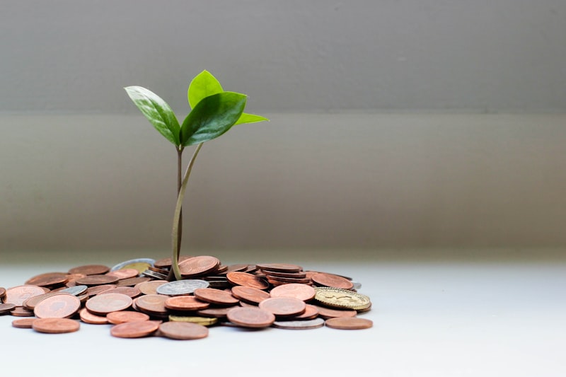 Building an Emergency Fund Abroad